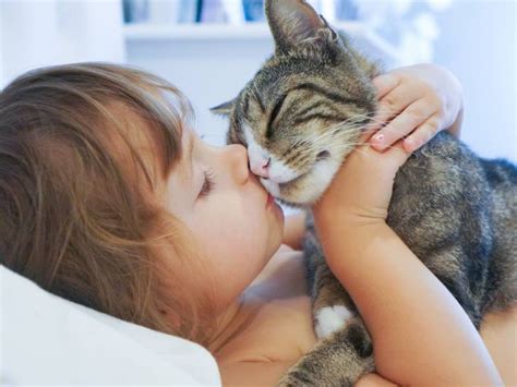 Bonnes Raisons Dadopter Un Chat Quand On A Un Enfant