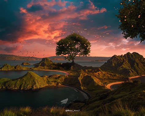 nusantara behance