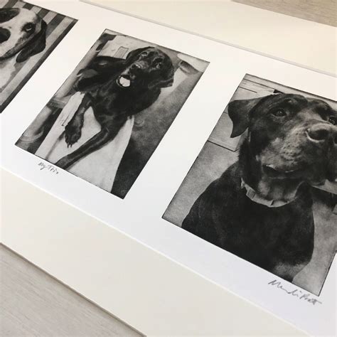 Custom Collage Etchings Archives | Greyboy Pet Portraits