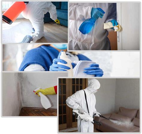 Mold Removal Services by Water Restoration Services The Woodlands ...