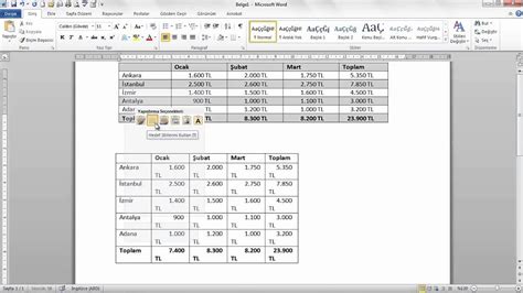 Word Excel Den Tablo Kopyalamak Youtube