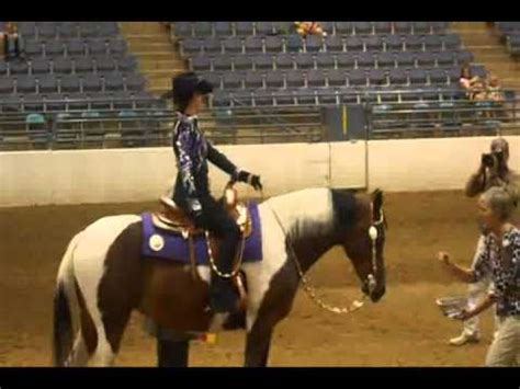 Region 3 2012 Reserve Champion HA AA Western Pleasure JTR 17 Under