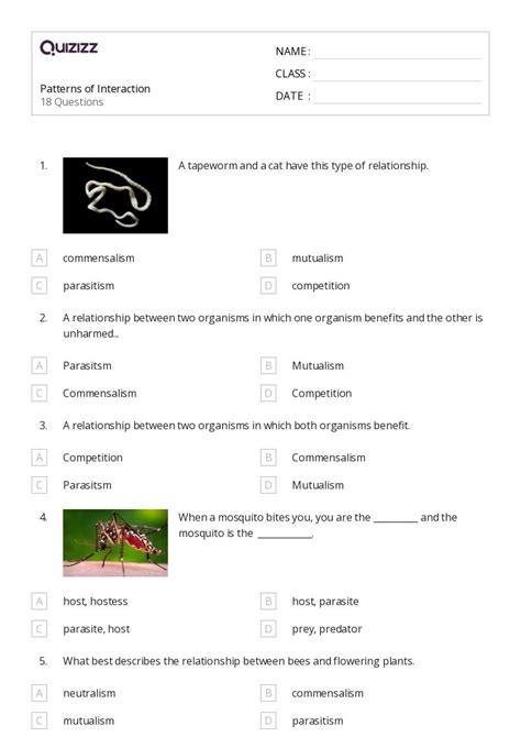 Subtraction And Patterns Of One Less Worksheets For Th Grade On