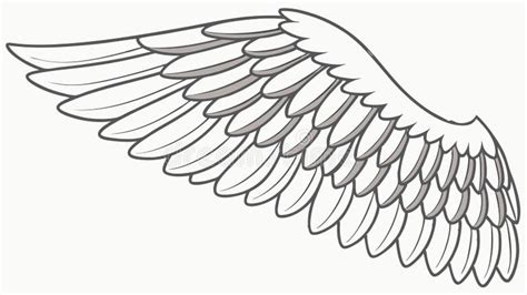 detailed bird wing illustration vector design generative ai stock