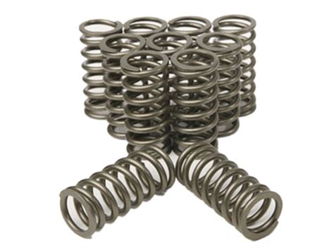 RB20 Heavy Duty Valve Springs Plazmaman Plazmaman