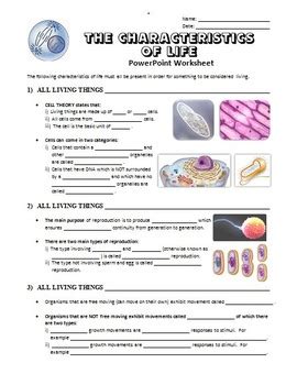 The Characteristics of Life - PowerPoint Worksheet {Editable} | TPT