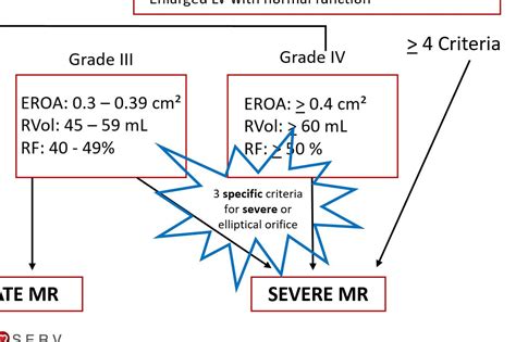 ASE S Mitral Regurgitation Algorithm Simplified Cardioserv