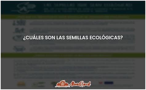 Semillas ecológicas todo lo que debes saber ALMARURAL