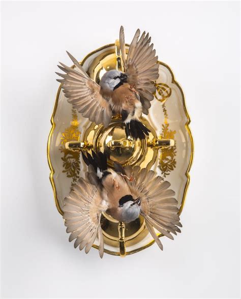 Taxidermy art, Artist inspiration, Art