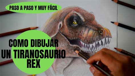 Como Dibujar Un Tiranosaurio Rex Semi Realista Paso A Paso Muy Fácil Youtube