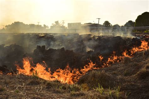 Las Emisiones Generadas Por Incendios En Brasil Durante Febrero