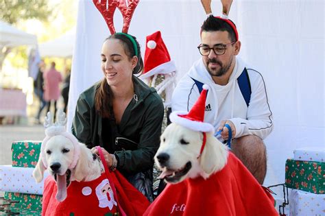 Mira aquí las imágenes de la jornada de adopción responsable en Ibiza