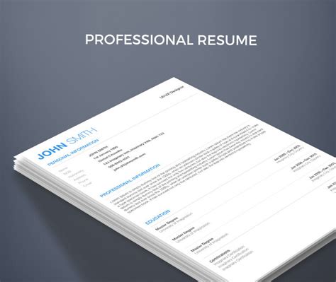 Professional Resume