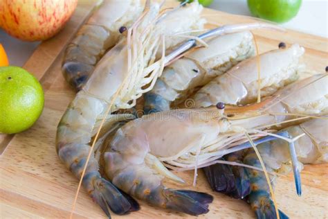 Fresh Shrimp Shrimp River Stock Photo Image Of Fresh 100484408