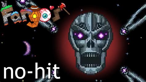 Terraria Eternity Mode No Hit Skeletron Prime Youtube