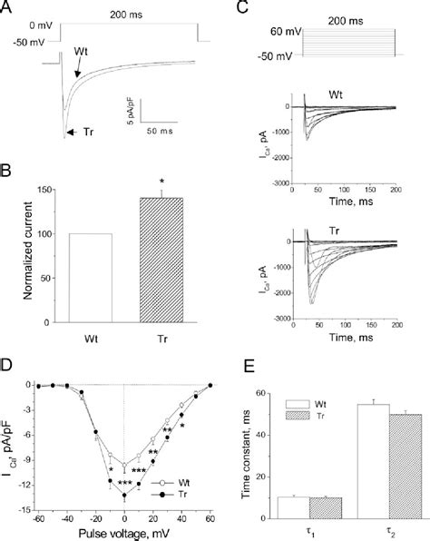 Figure From Enhancement Of Cardiac L Type Ca Currents In Transgenic