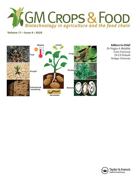 Genetically Modified Crops Process