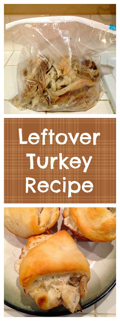 Best Leftover Turkey Recipe · The Typical Mom