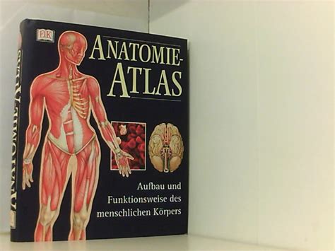 Anatomie Atlas Aufbau Zvab