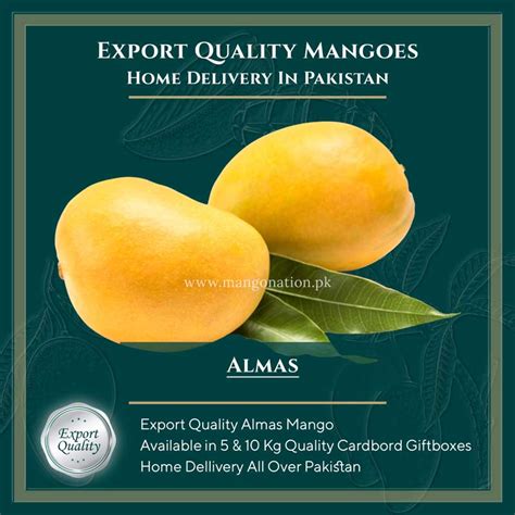 Almas Mango Export Quality - Mangonation.pk