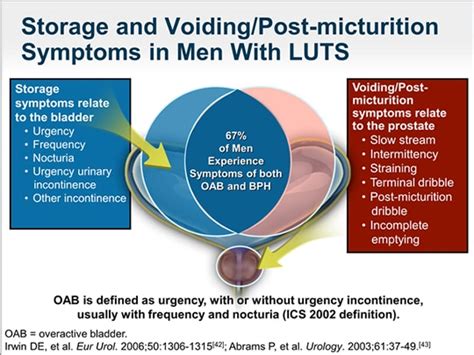 Initial Evaluation And Treatment Of Male Lower Urinary Tract Symptoms