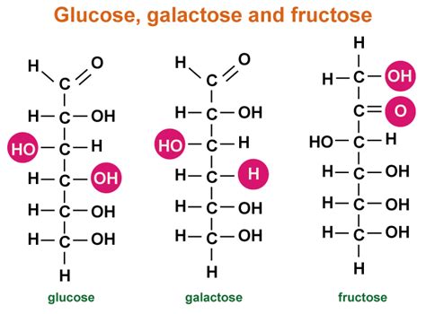 Monosaccharide Definition - JavaTpoint