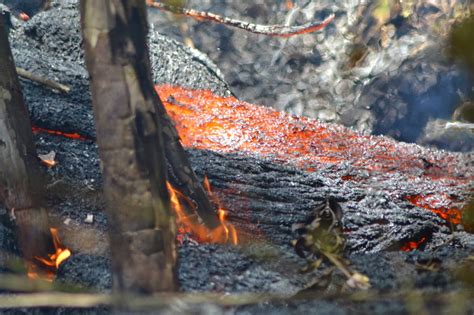 Family Travel Blog : Hawaii Daily Photo: River of lava up close