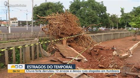 V Deo Chuva Forte Derruba Rvores E Deixa Ruas Alagadas Em