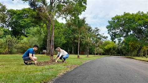 Posadas Parque De La Ciudad Un Espacio Verde Con Historia Presente