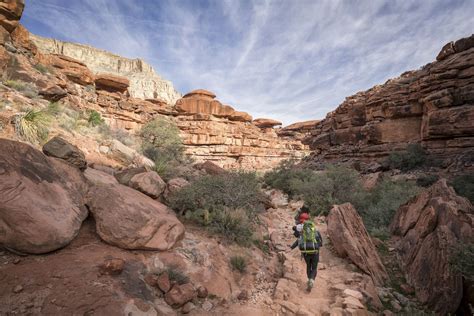 Hiking for Beginners: 25 Tips to Help You Get Going on the Trail