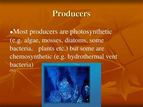 Ppt The Ecosystem Powerpoint Presentation Free Download Id 2257834