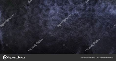 Black Panther Skin Texture Background Stock Photo by ©subinpumsom 211905484