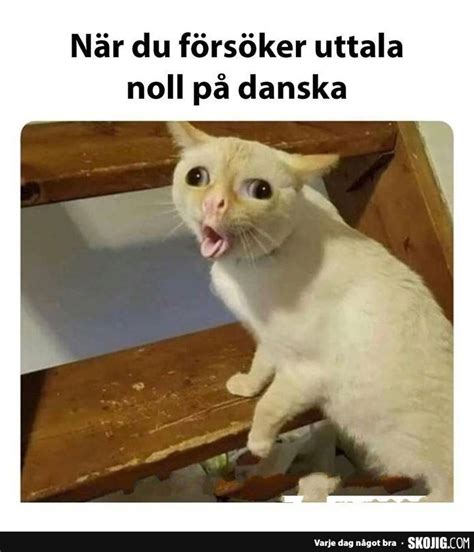 N R Du F Rs Ker Uttala Noll P Danska Roliga Katt Bilder Roliga