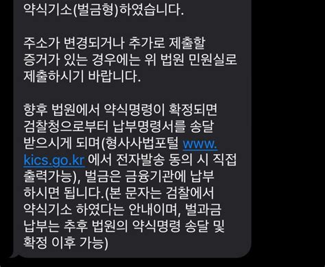 약식기소벌금형 문자 지식in