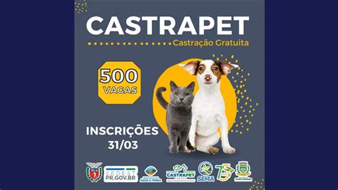 Inscrições para 500 castrações gratuitas do Castrapet nesta 6ª feira