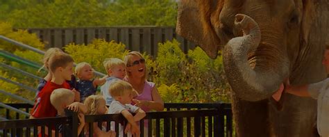 African Lion Safari Canadas Original Safari Adventure