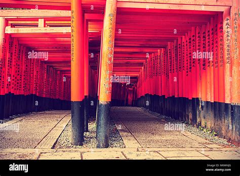 fushimi inari shrine, japan Stock Photo - Alamy