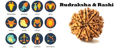 Rudraksha