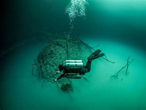 British Diver Made An Incredible Find Underwater 6 Pics