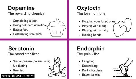 The Four Major Hormones That Do Wonders For The Body