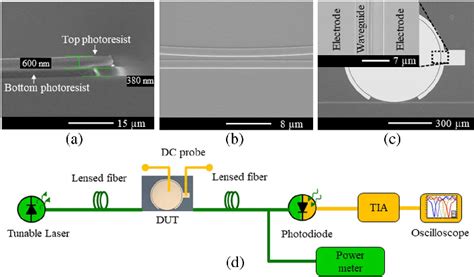 A Sem Image Of The Bilayer Lift Off Process B Sem Image Of The