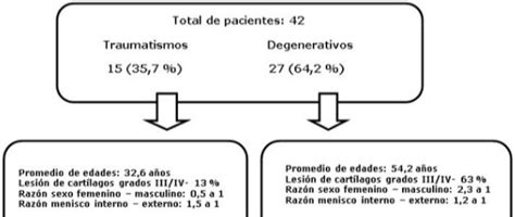 Comportamiento De Pacientes Con Lesión De Menisco Alvarez López Archivo Médico Camagüey