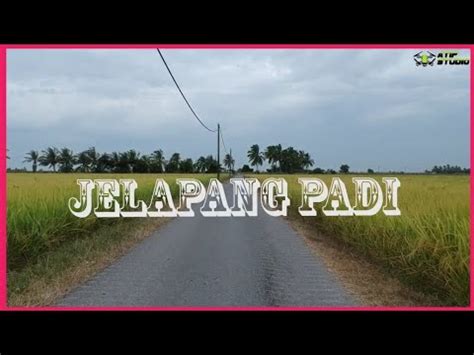 Aerial Video Jelapang Padi Kedah Darulaman Youtube