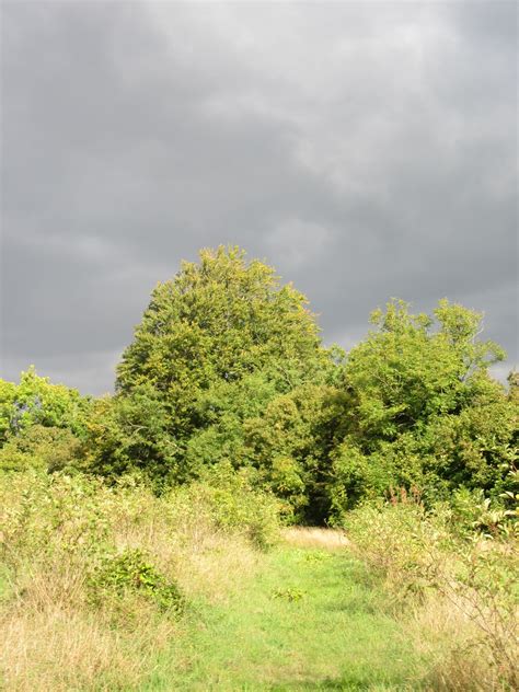 Free Images : landscape, tree, nature, forest, grass, sky, field