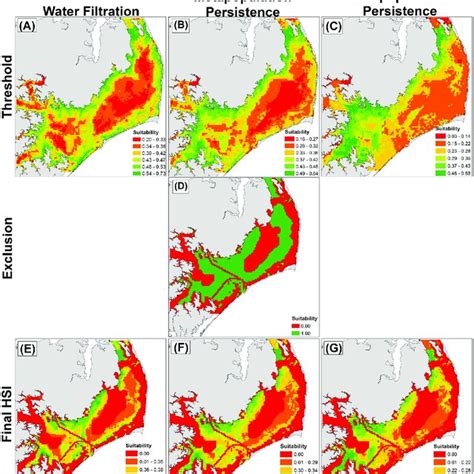 Oyster Reef Constructed To Reverse Erosion And Promote Sediment Download Scientific Diagram