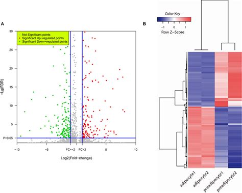 Frontiers Global Transcriptome Analysis During Adipogenic