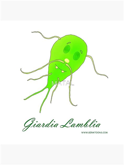 Giardia Lamblia Poster For Sale By Matal Redbubble