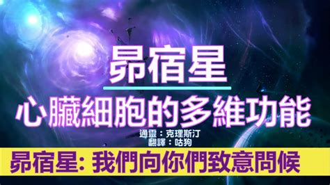 通靈信息【昴宿星】關於 心臟細胞的多維功能；我們向您的旅程致敬，並向您的勇氣致敬，因為您向前邁出了一步，完成了自己的道途。 Youtube