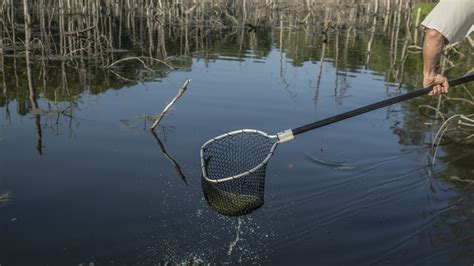 Pond Services Lochow Ranch Pond Lake Management