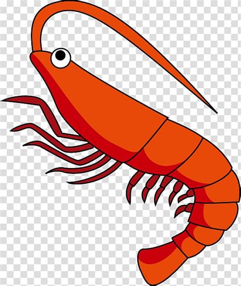 Red Shrimp Illustration Shrimp Free Content Shrimps Transparent